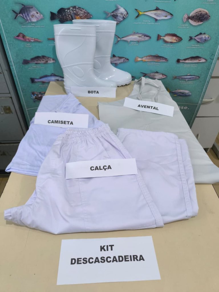 Prefeitura de Penha entrega kits para descascadeiras nesta segunda-feira (18)