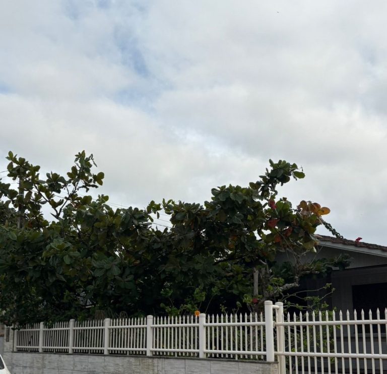 Penha e região terão quinta-feira de sol entre nuvens e temperaturas agradáveis